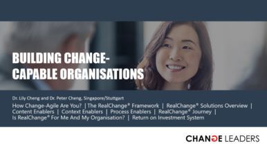 Building Change-Capable Organisations