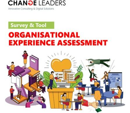 Organisational Experience Assessment